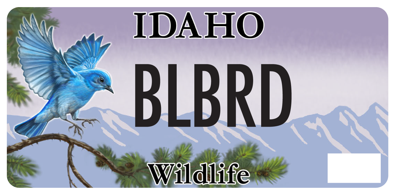 Idaho Bluebird Plate